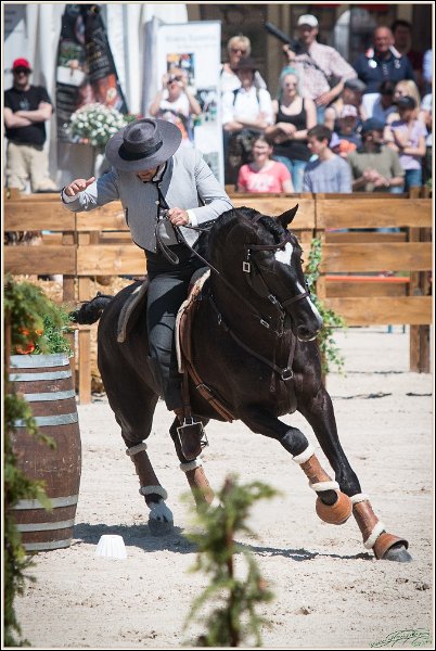 Pferd International 095